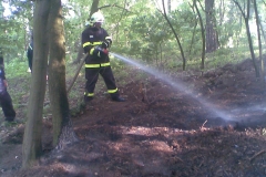 2009-05-02-požár lesa Na Horka Grygov-02