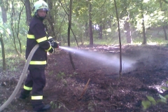 2009-05-02-požár lesa Na Horka Grygov-03